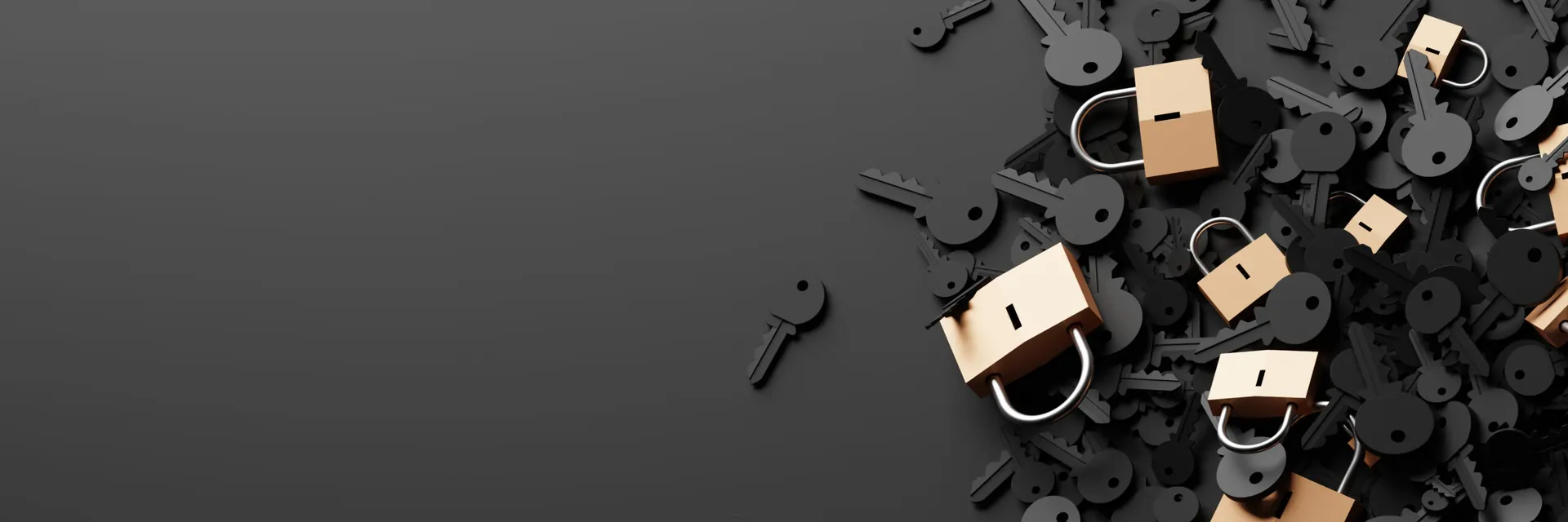 Aegis Locksmith Services